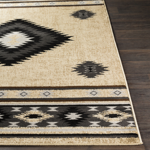 Surya Paramount PAR-1096 Black Area Rug - Image 2
