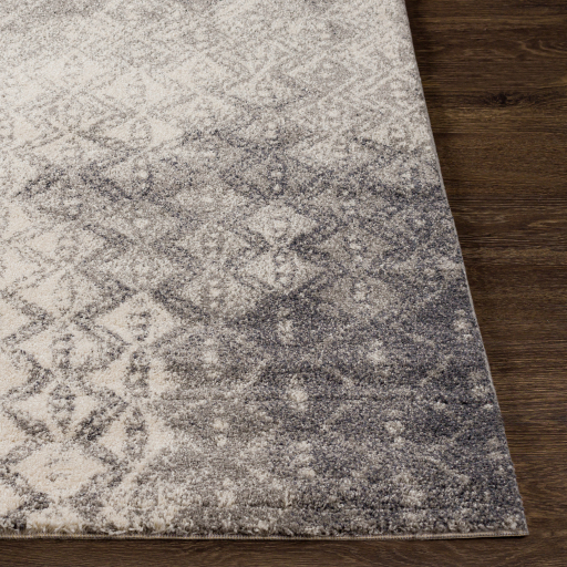 Surya Pembridge PBG-1001 Charcoal Area Rug - Image 2