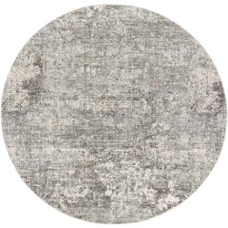 Surya Presidential PDT-2303 Blue Area Rug