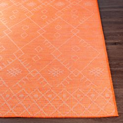 Alternative view of Surya Pasadena PSA-2365 Orange Area Rug