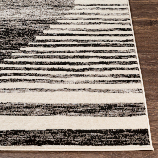 Surya Pisa PSS-2312 Black Area Rug - Image 3
