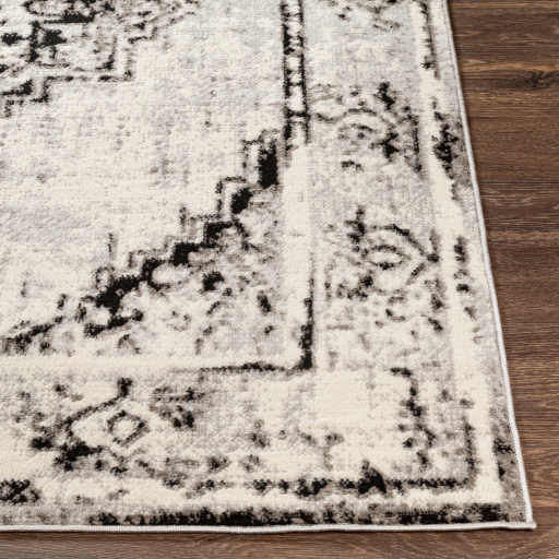 Surya Pisa PSS-2314 Black Area Rug - Image 3