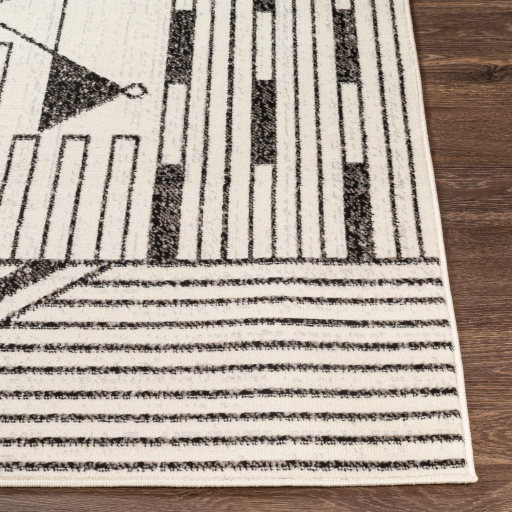 Surya Pisa PSS-2316 Black Area Rug - Image 3