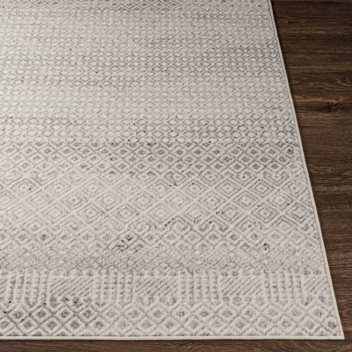 Surya Pisa PSS-2322 Area Rug - Image 3