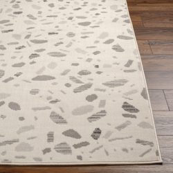 Alternative view of Surya Pisa PSS-2349 Area Rug