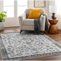 Surya Pisa PSS-2366 Area Rug
