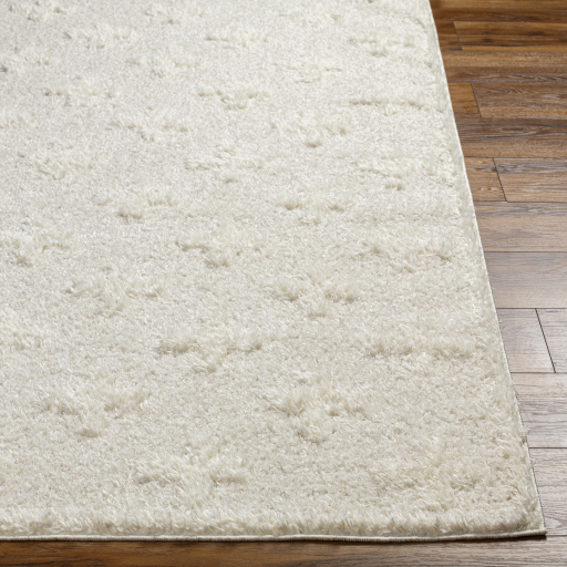 Surya Rodos RDO-2304 Area Rug - Image 2