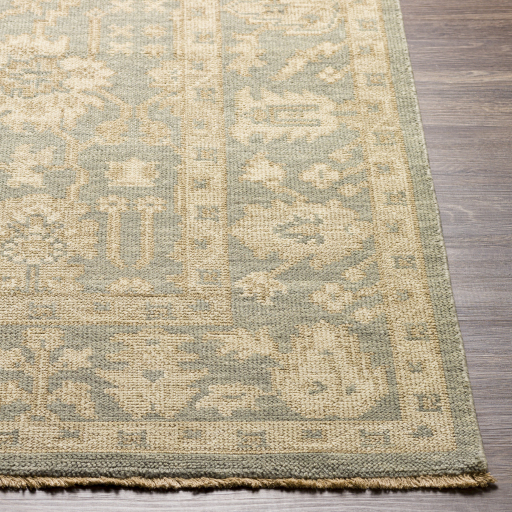 Surya Reign REG-2306 Beige Area Rug - Image 2