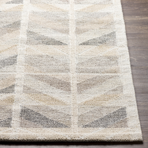 Surya Scandi SCD-2301 Beige Area Rug - Image 3