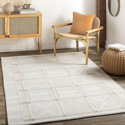 Surya Scandi SCD-2302 Beige Area Rug