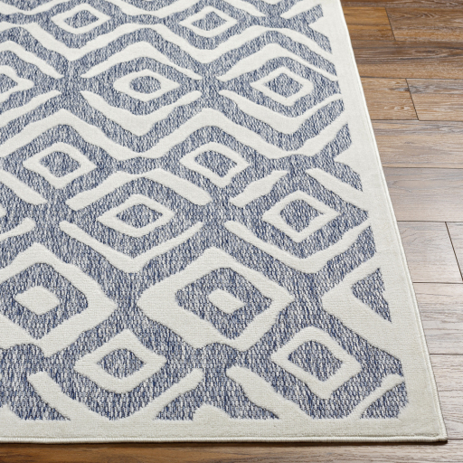 Surya San Diego SFG-2313 Area Rug - Image 3