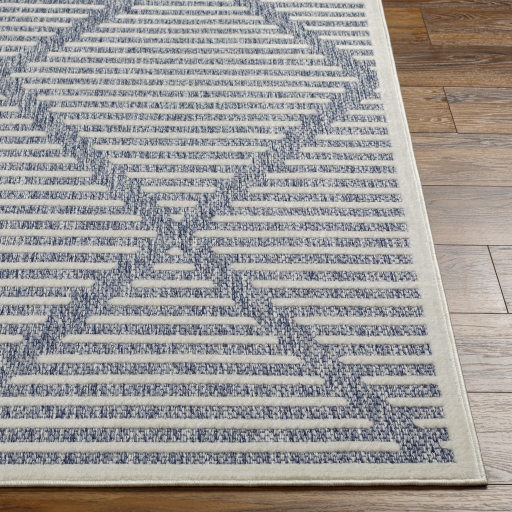 Surya San Diego SFG-2320 Area Rug - Image 2