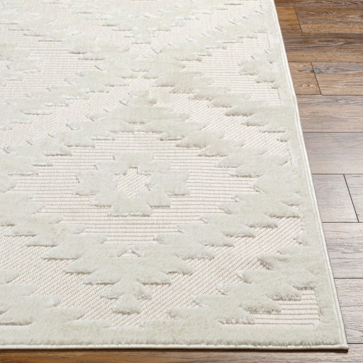 Surya San Diego SFG-2321 Area Rug - Image 2