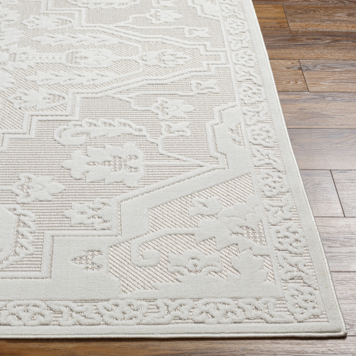 Surya San Diego SFG-2339 Area Rug - Image 3