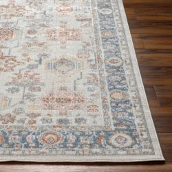 Surya Santana SNN-2303 Area Rug