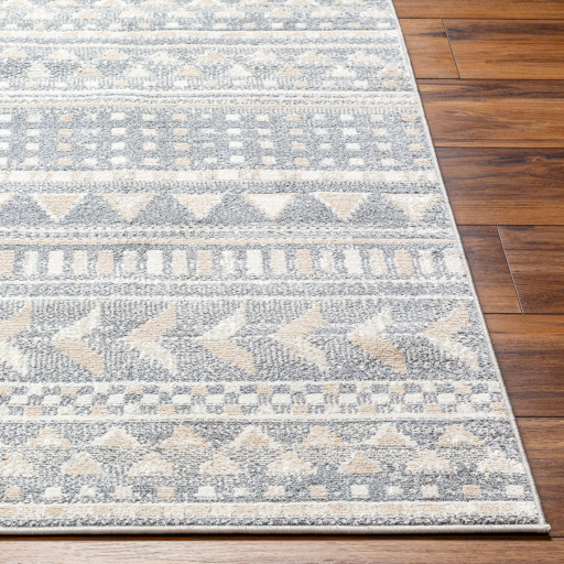 Surya Santana SNN-2304 Area Rug