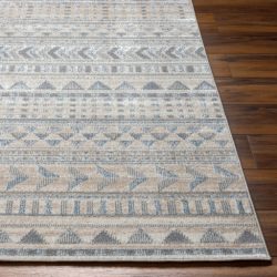 Surya Santana SNN-2305 Area Rug