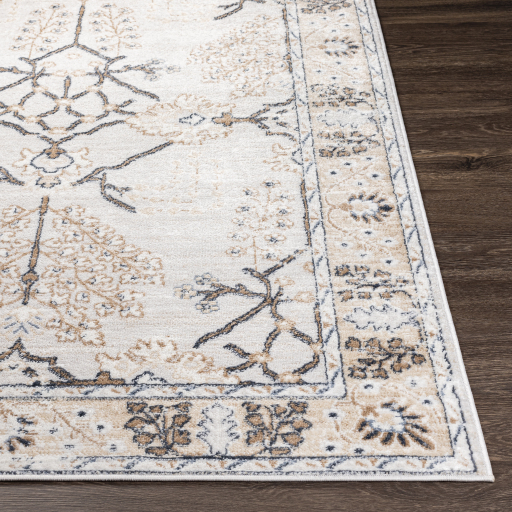Surya St Tropez SRZ-2325 Charcoal Area Rug - Image 3