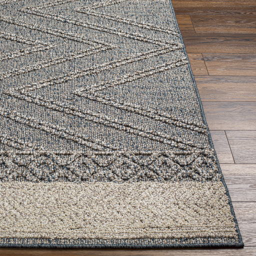 Surya Sarasota SSO-2305 Blue Area Rug - Image 2