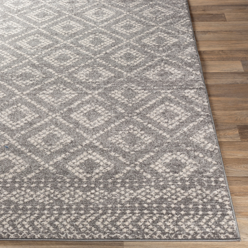 Surya Sunderland SUN-2302 Charcoal Area Rug - Image 3
