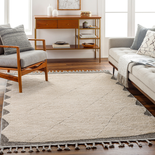 Surya Sousse SUS-2304 Charcoal Area Rug