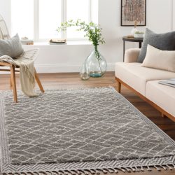 Surya Sousse SUS-2306 Charcoal Area Rug