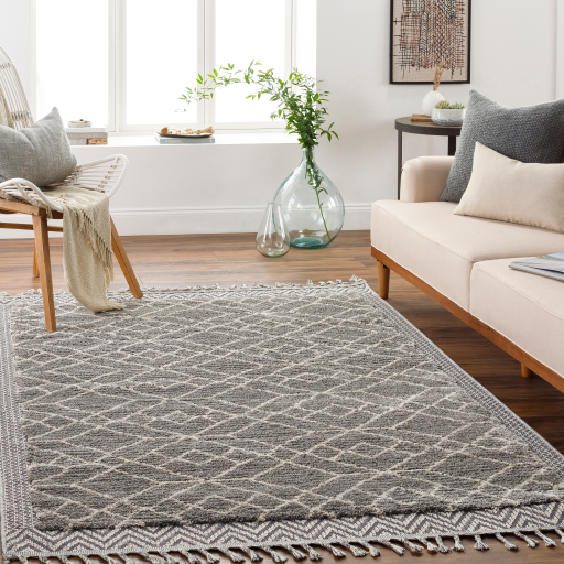 Surya Sousse SUS-2306 Charcoal Area Rug