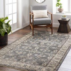 Surya Theodora THO-3001 Dark Brown Area Rug