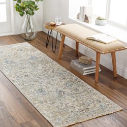 Surya Theodora THO-3008 Brown Area Rug
