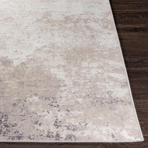 Surya Costa Mesa TSA-1002 Charcoal Area Rug - Image 3