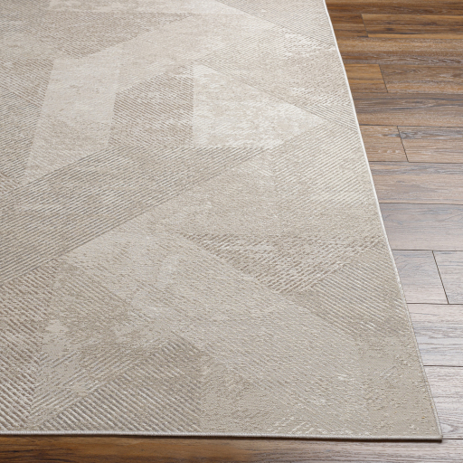Surya Costa Mesa TSA-1005 Cream Area Rug - Image 3
