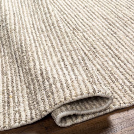 Surya Totenham TTH-2300 Beige Area Rug - Image 3