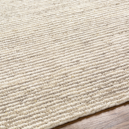 Surya Totenham TTH-2300 Beige Area Rug - Image 6