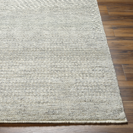 Surya Tunus TUN-2312 Ivory Area Rug - Image 2