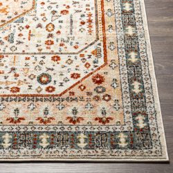Alternative view of Surya Tevazu TVZ-2339 Area Rug