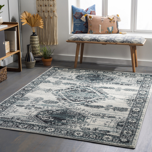 Surya Tevazu TVZ-2364 Area Rug