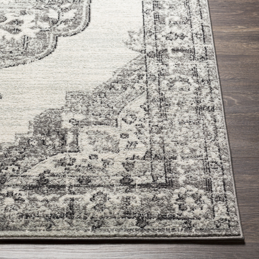 Surya Tevazu TVZ-2371 Area Rug - Image 2