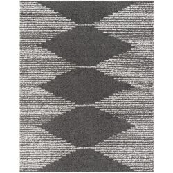 Surya Taza Shag TZS-2312 Area Rug