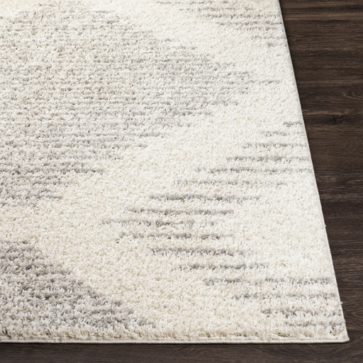 Surya Taza Shag TZS-2331 Cream Area Rug - Image 3