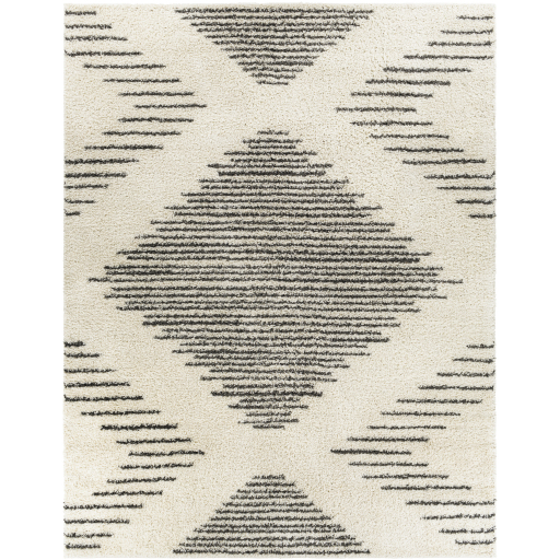 Surya Taza Shag TZS-2332 Charcoal Area Rug