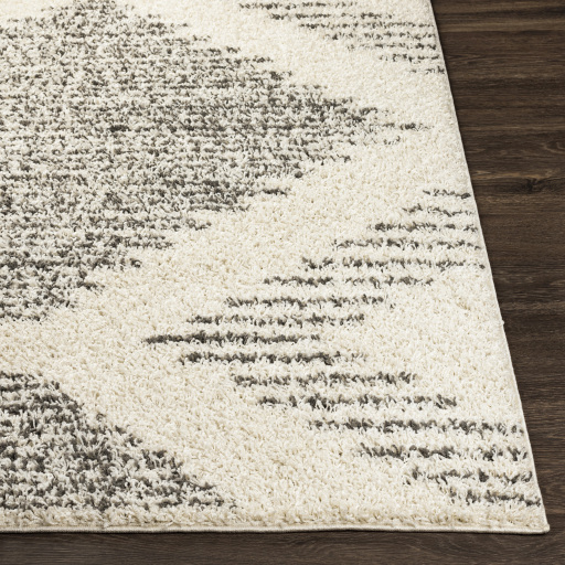Surya Taza Shag TZS-2332 Charcoal Area Rug - Image 3
