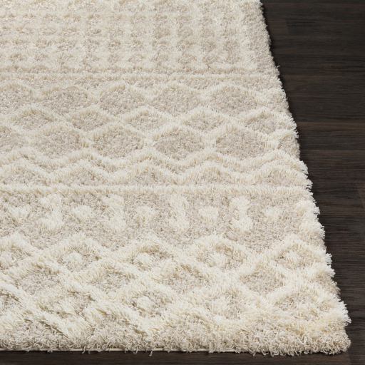 Surya Urban Shag USG-2303 Cream Area Rug - Image 3