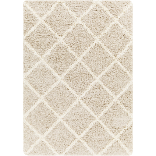 Surya Urban Shag USG-2319 Ivory Area Rug