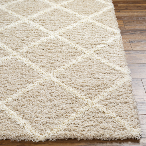 Surya Urban Shag USG-2319 Ivory Area Rug - Image 3