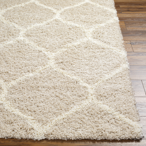 Surya Urban Shag USG-2320 Ivory Area Rug - Image 2