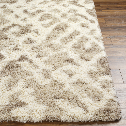 Surya Urban Shag USG-2323 Ivory Area Rug - Image 3