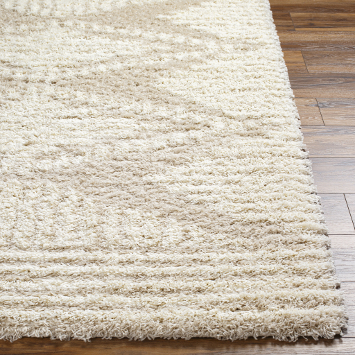 Surya Urban Shag USG-2326 Ivory Area Rug - Image 2