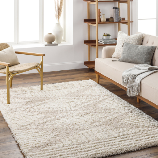 Surya Urban Shag USG-2326 Ivory Area Rug