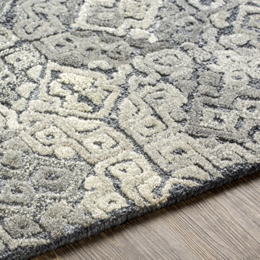 Surya Vancouver VCR-2302 Charcoal Area Rug - Image 8