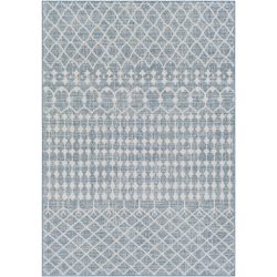 Surya Veranda VRD-2307 Dark Blue Area Rug